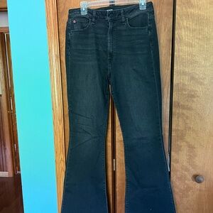 Hudson Jeans Dark Wash Denim